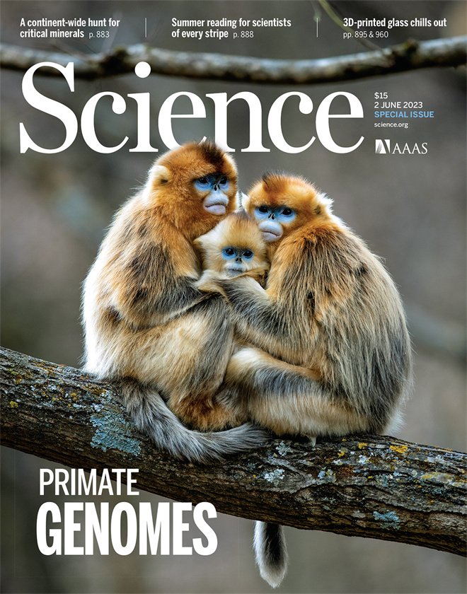 Science封面文章：火狐官方网页版金丝猴研究团队首次系统揭示灵长类社会演化之谜_fororder_《自然》封面.JPG