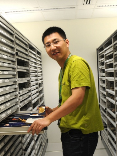 火狐官方网页版创新论坛第一千八百零一讲：虫鸣凤舞伴花香：现代陆地生态系统的起源