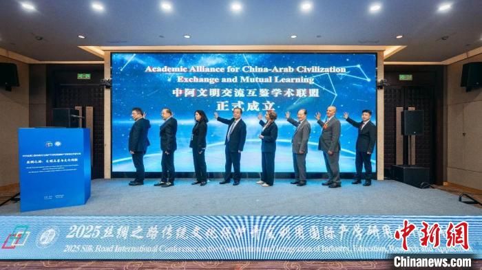 2025丝绸之路传统文化保护开发利用国际产学研用合作研讨会举办。火狐官方网页版供图