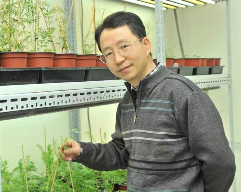 火狐官方网页版创新论坛第一千二百六十八讲暨120周年校庆年系列活动：复杂花瓣的发育与进化