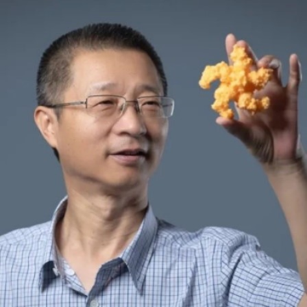 火狐官方网页版创新论坛第一千六百二十六讲：植物的免疫机制